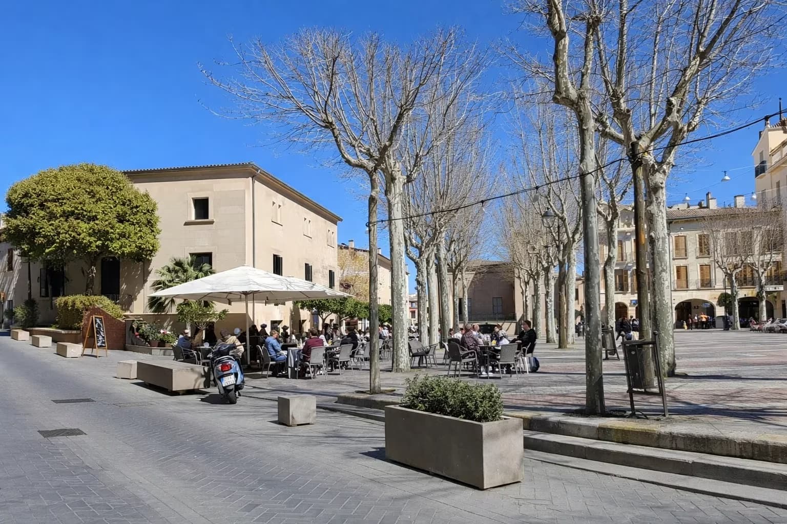 Properties for sale in Santa Margalida, North Mallorca — villas, fincas and coastal homes